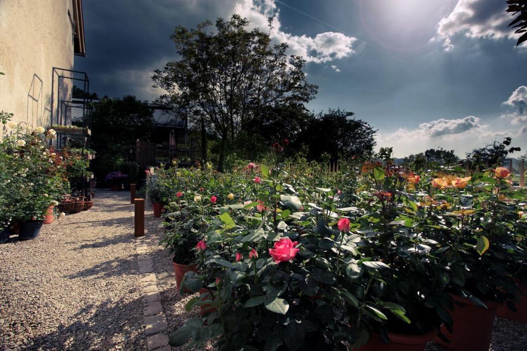 Hotel Rainhof Scheune & Naturpark Restaurant 키르히자르텐 외부 사진