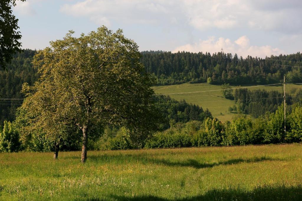 Hotel Rainhof Scheune & Naturpark Restaurant 키르히자르텐 외부 사진